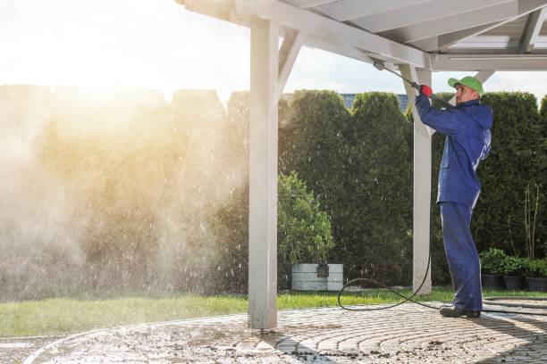 Best Driveway Pressure Washing  in Winnsboro, LA